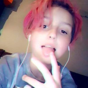 Meet your Posher, Petra